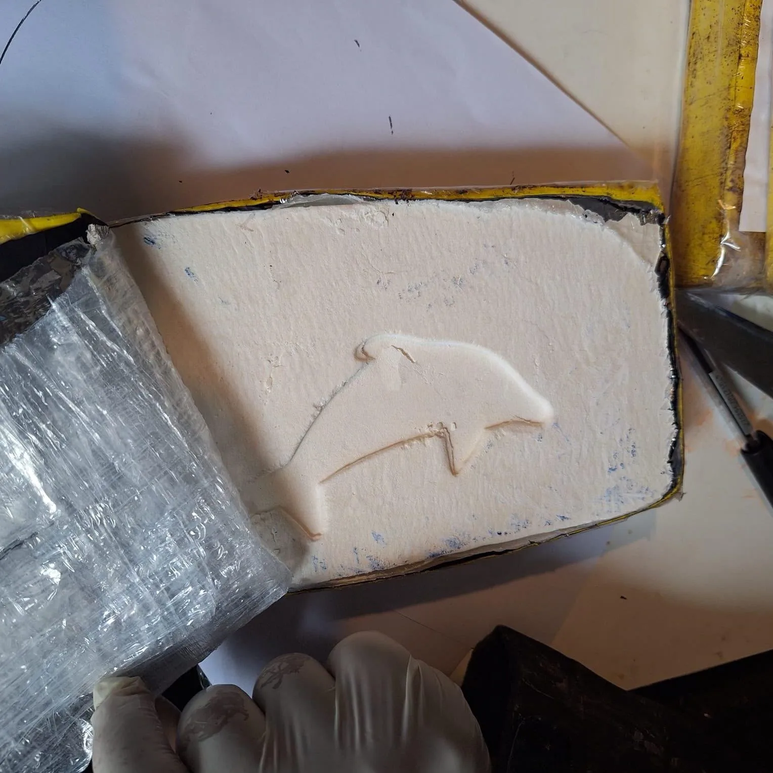 Seis detenidos por el hallazgo de 60 kilos de cocaína quedaron en prisión preventiva