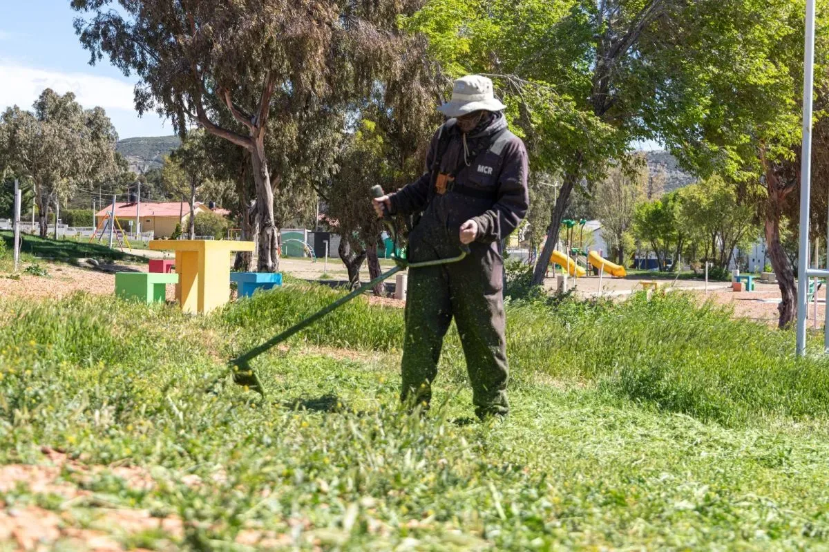 Tareas de desmalezamiento y poda en espacios verdes de Comodoro