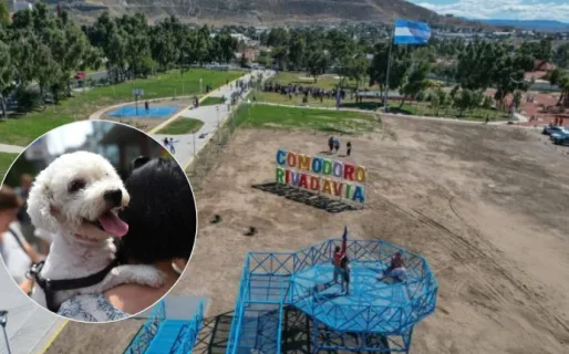 Festival de los Perros en el Parque de la Ciudad: adopción y tenencia responsable
