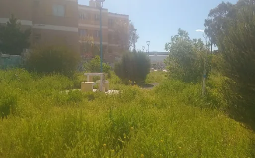Reclamo vecinal en Pueyrredón por pastizales en una plaza del barrio